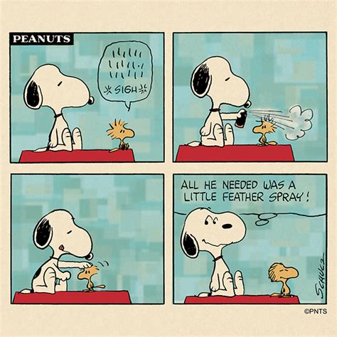 PEANUTS on Twitter | Snoopy cartoon, Snoopy comics, Snoopy funny