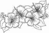 Free Printable Hibiscus Coloring Pages For Kids sketch template
