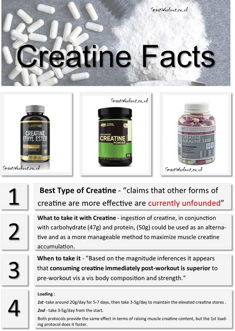 creatine benefits creatine benefits woman creatine benefits woman muscle creatine monohydrate ...