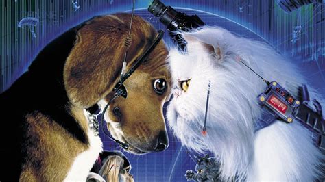 Cats & Dogs (2001) | FilmFed