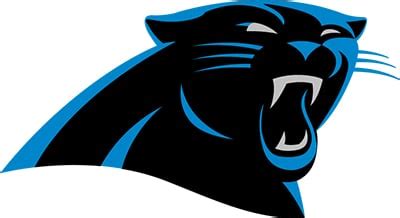 Carolina Panthers Color Codes Hex, RGB, and CMYK - Team Color Codes