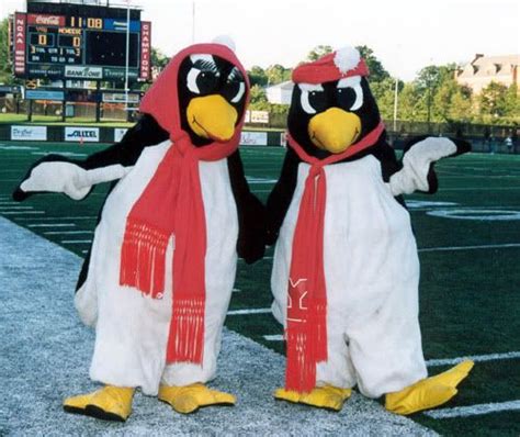 Youngstown State University Mascot Pete and Penny. It's just like ...