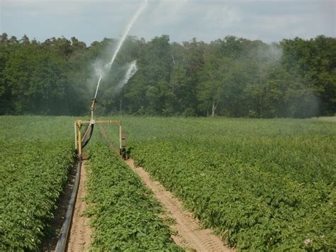 Irrigation Methods - A Beginners Guide | Agri Farming