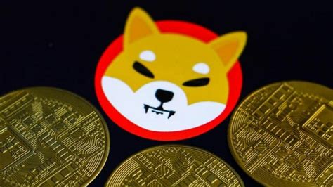 Shiba Inu Coin Grows Bigger Than Polkadot And USD Coin As Its Value ...