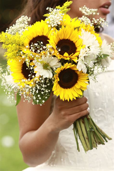 Sunflowers and Baby's Breath | Sunflower wedding bouquet, Sunflower ...