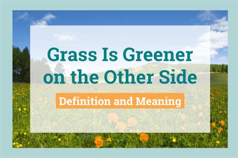 The Grass Is Greener on the Other Side: What Does It Mean?