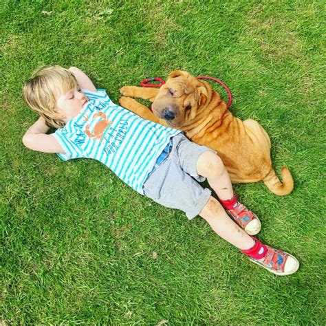 5 tips for walking dogs with kids - Toby and Roo