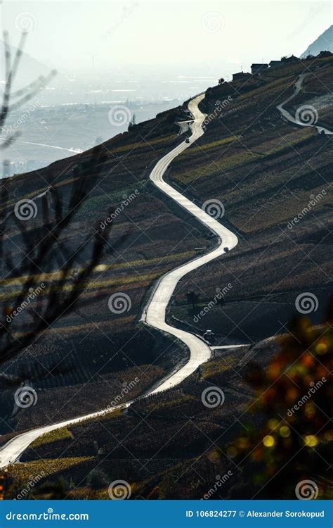 Zigzag Road in Vineyards, Slope of the Mountain, Contrast View Stock ...