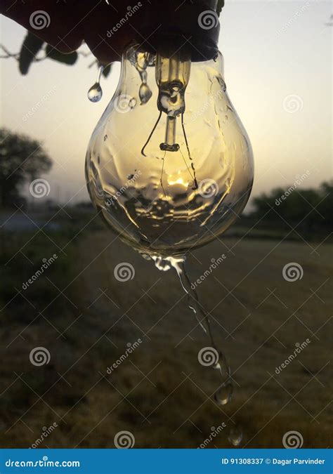 Light bulb photography stock image. Image of beautiful - 91308337