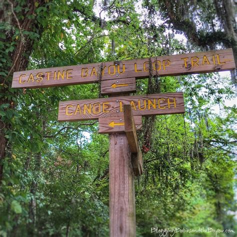 A Picturesque Walk at Northlake Nature Center in Mandeville, Louisiana #BayouTravel