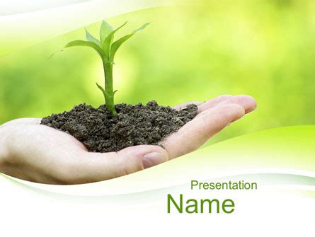 Plant Growth Presentation Template for PowerPoint and Keynote | PPT Star