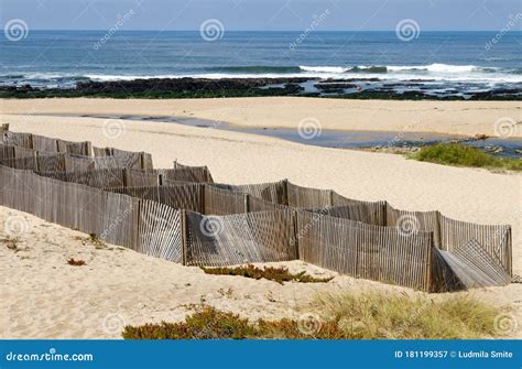 Beach with sand fence stock image. Image of seaside - 181199357