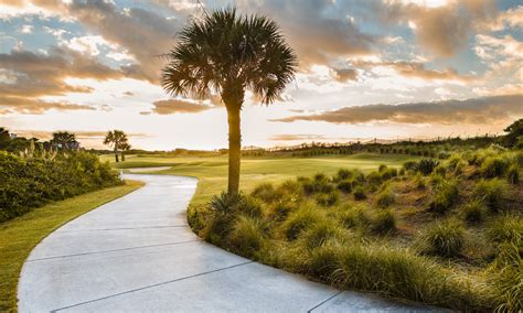 Are Dogs Allowed On Kiawah Island Beaches