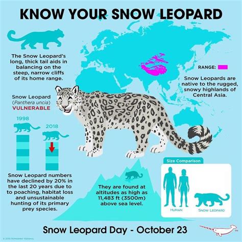 a snow leopard is shown in front of a world map and information about ...