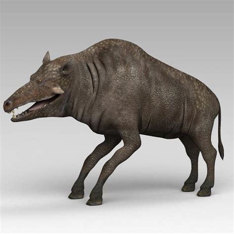 Entelodont - Alchetron, The Free Social Encyclopedia