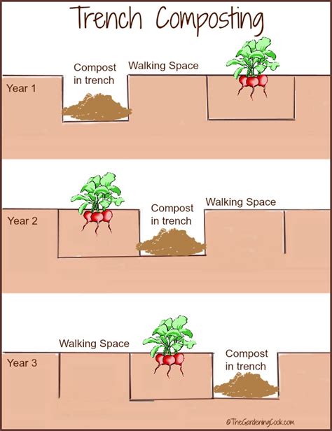 Trench Composting with Kitchen Scraps