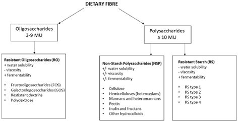 Classification of dietary fiber. NSP: Non-starch polysaccharides, MU ...