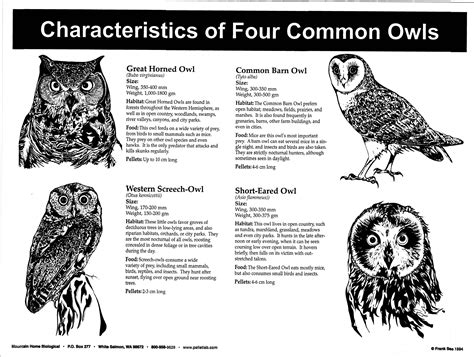 P12: Characteristics of 4 Common Owls Poster — Mountain Home Biological