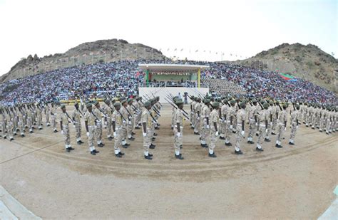 Celebrating Eritrea’s Military Service and Veterans - Madote