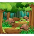Scene with hiking track in the forest Royalty Free Vector
