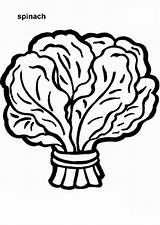 Spinach Vegetable Coloring Pages sketch template