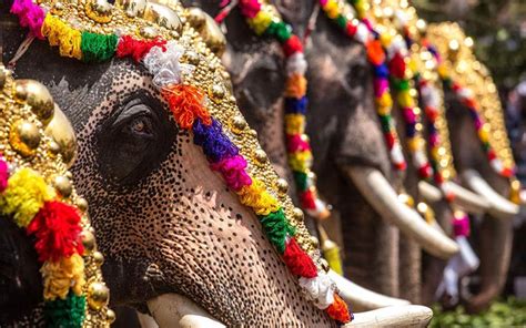 25 Famous Festivals of Kerala | Kerala Festivals – Swan Tours