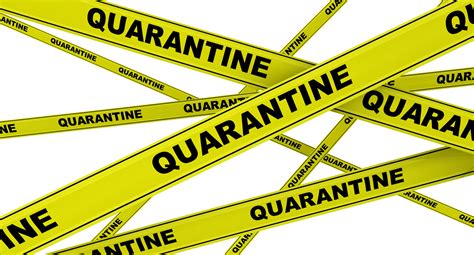 Quarantine