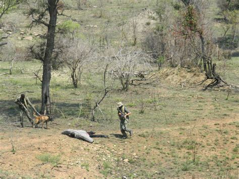 Kruger tourists bust rhino poachers - Africa Geographic