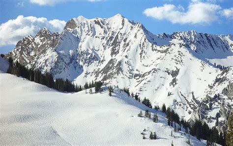 Ski Alta: resort guide - Telegraph