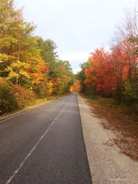 Maine’s flashiest season!! Delightful Fall Foliage pictures, beautiful ...