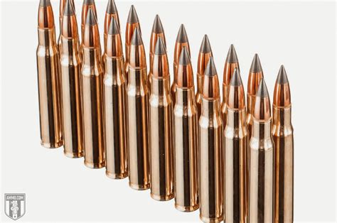 450 Bushmaster vs 30-06 - Hunting Cartridges Comparison by Ammo.com