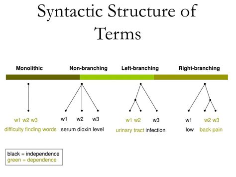 PPT - Determining the Syntactic Structure of Medical Terms in Clinical ...