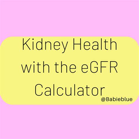 Understanding Your Kidney Health: The EGFR Calculator - BabieBlue