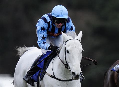 New Year's Day Racing at Exeter Racecourse | The Exeter Daily