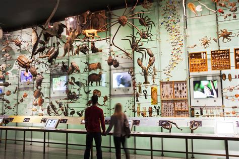 American Museum of Natural History | Manhattan, NY 10024 | New York Path Through History