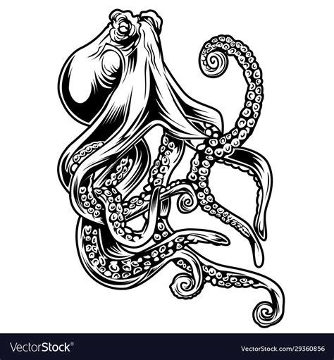 Octopus Drawing Black And White