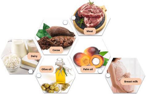 Is Fatty Acid Found In Palm Oil Linked To The Spread Of Cancer? – MPOC