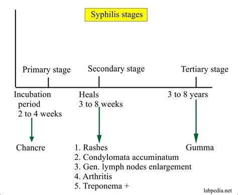 Syphilis - Part 1- Diagnosis, VDRL, FTA-ABS, TPHA, RPR (Treponema Pallidum) - Labpedia.net