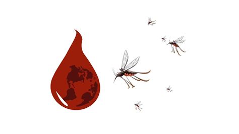 World Malaria Day Vector Animation 7957023 Stock Video at Vecteezy