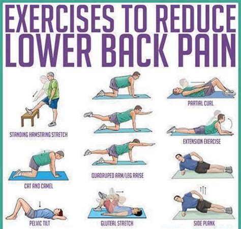 Lower Back Pain Exercises PDF | ... stretch and maintain their backs. I am constantly stretching ...