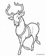 Free Printable Reindeer Coloring Pages For Kids sketch template