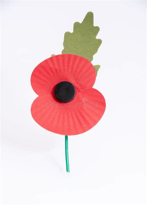 Red Poppy Used To Symbolise Remembrance Sunday Stock Photo - Image of flower, used: 123414322