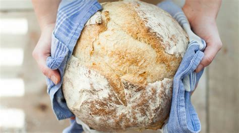 The Importance of Dough Conditioner in Baking Bread: Types, Ingredient