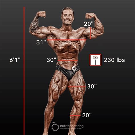 Chris Bumstead Height and Weight, Body Measurements, & More ...