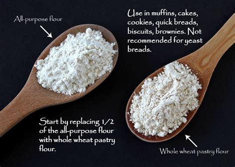 How to Substitute Whole Wheat Flour for All-purpose Flour - Healthy Ideas Place