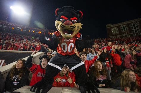 WLWT: UC Bearcat nominated for Mascot Hall of Fame | University of Cincinnati