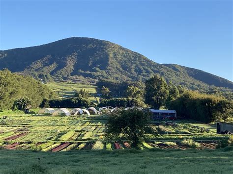 Farms — HAWAIʻI FARM TRAILS