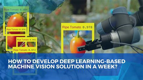 How to develop deep learning-based machine vision solution in a week? - Qualitas Technologies