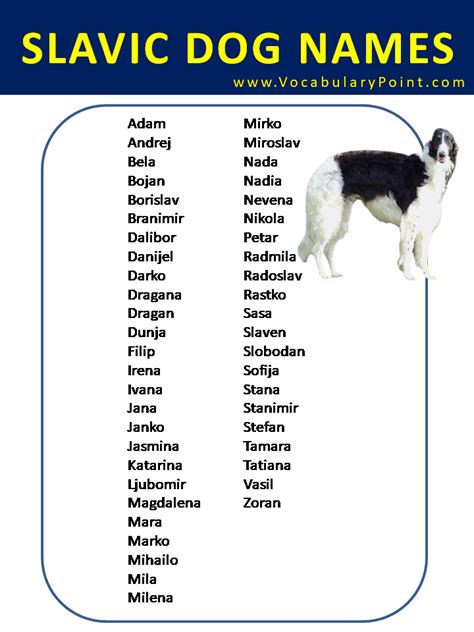 Most Popular Russian Dog Names - Vocabulary Point