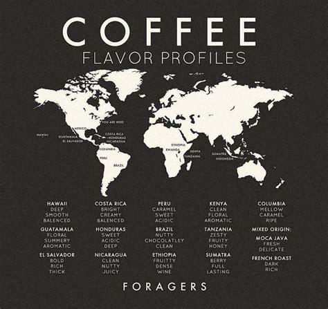 World Coffee Map - details of various flavor profiles | Coffee infographic, Coffee lab, Coffee ...